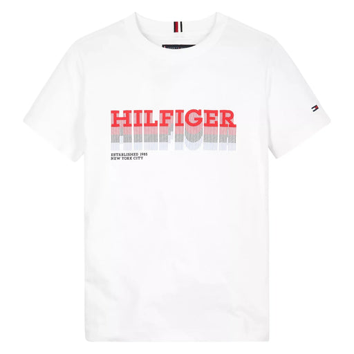 Tommy Hilfiger white faded logo t-shirt - kb08812.