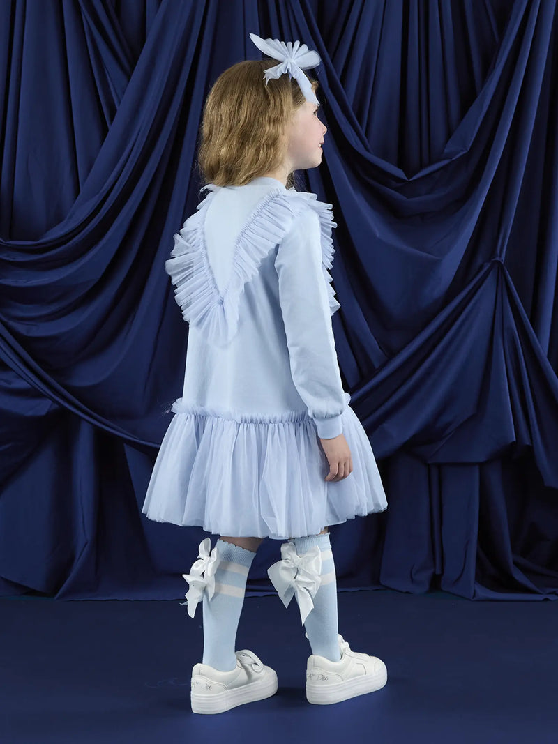 A Dee blue dress with tulle mesh skirt.