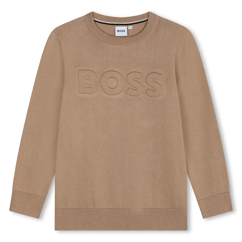 BOSS boy's brown jumper - j51172.