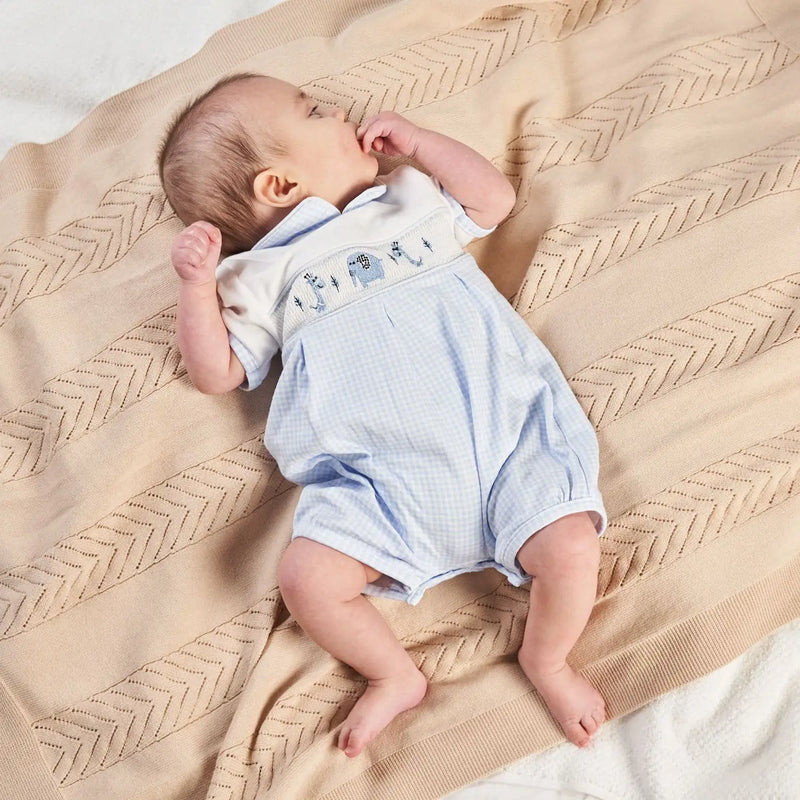 Dandelion Gingham Romper - Blue