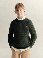 GANT green shield sweater, modelled by boy.