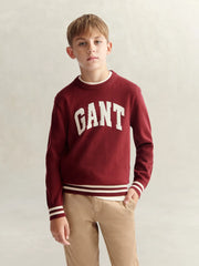 GANT varsity sweater, modelled by boy.