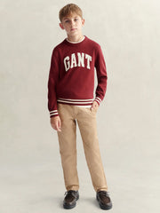 Boy modelling the GANT varsity sweater.