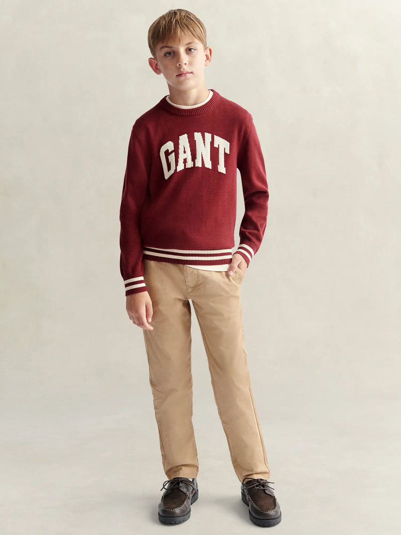 Boy modelling the GANT varsity sweater.
