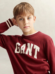 Closer look at the GANT varsity sweater.