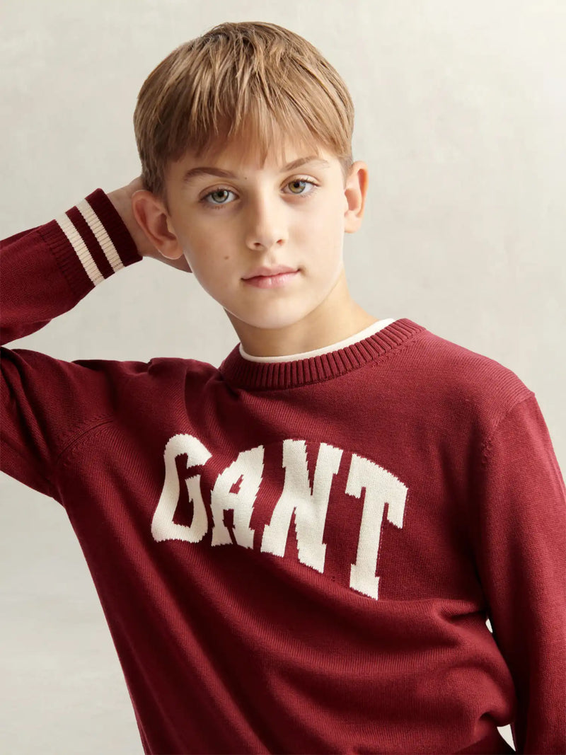 Closer look at the GANT varsity sweater.