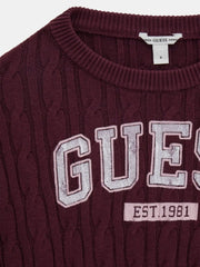 Closer look at the Guess cable knit sweater showing detail of the varsity logo.