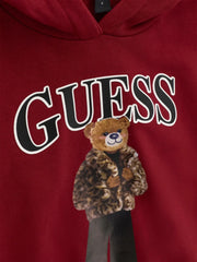Closer look at the Guess bear hoodie.