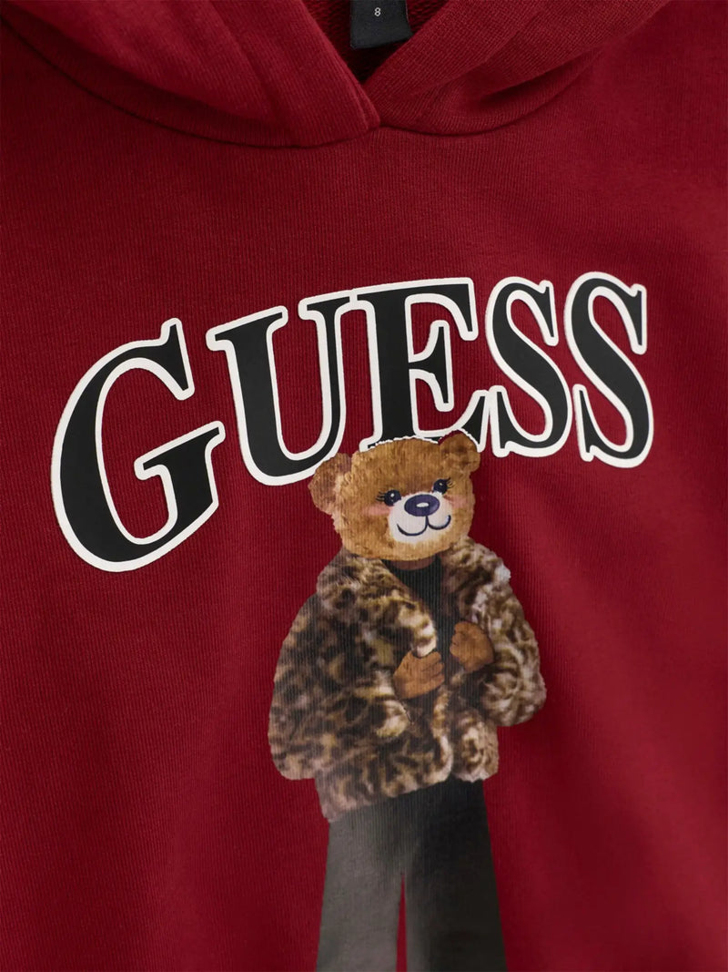 Closer look at the Guess bear hoodie.