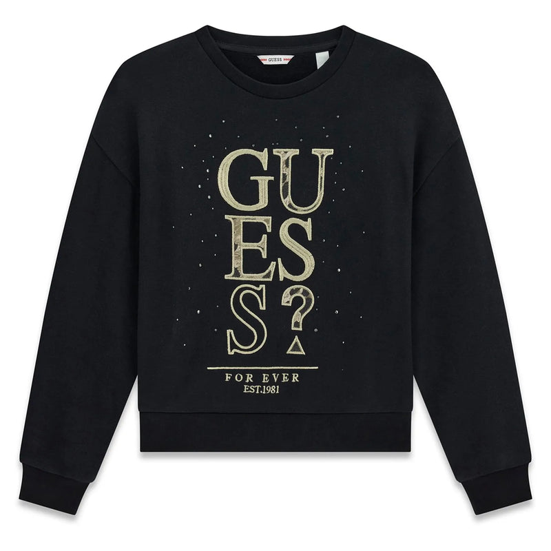 Guess embroidered logo sweatshirt - j6bq07.
