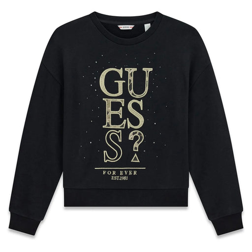 Guess embroidered logo sweatshirt - j6bq07.