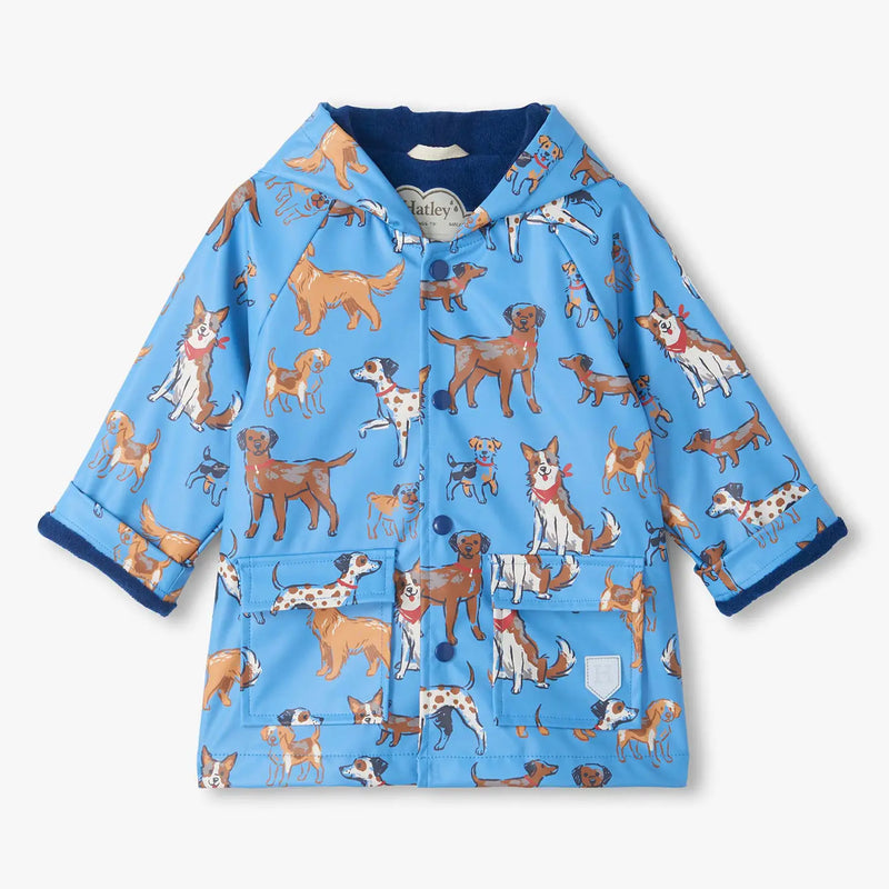 Hatley boy's little pups raincoat - f26bpt1317.