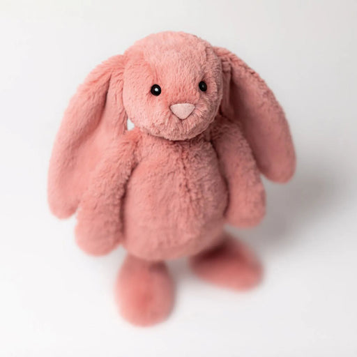 Closer look at the Jellycat bashful sorrel bunny.