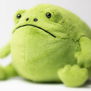 Closer look at the Jellycat ricky rain frog.
