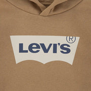 Closer look at the Levi's batwing hoodie.