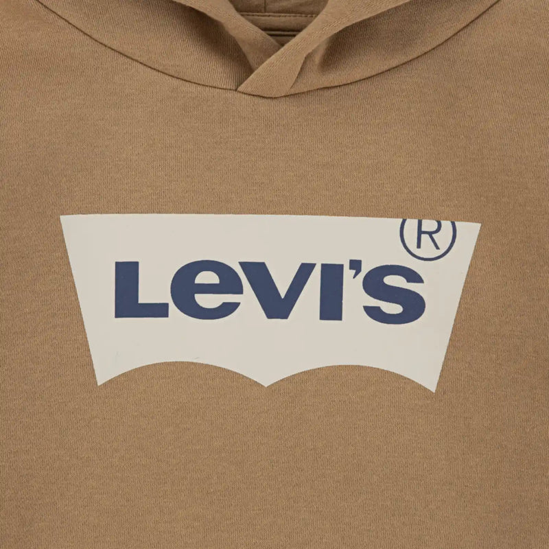Closer look at the Levi's batwing hoodie.