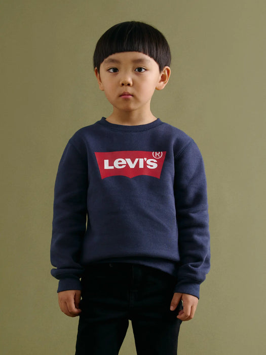 Boy modelling the Levi's batwing sweatshirt.