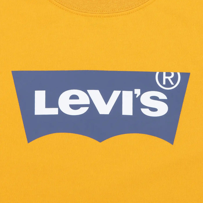 Closer view of the Levi's batwing t-shirt.