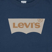 Closer look at the Levi's batwing t-shirt.