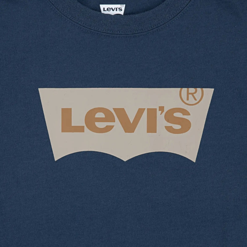 Closer look at the Levi's batwing t-shirt.