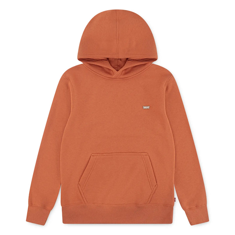 Levi's boy's mini logo hoodie - el452.