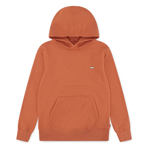 Levi's boy's mini logo hoodie - el452.