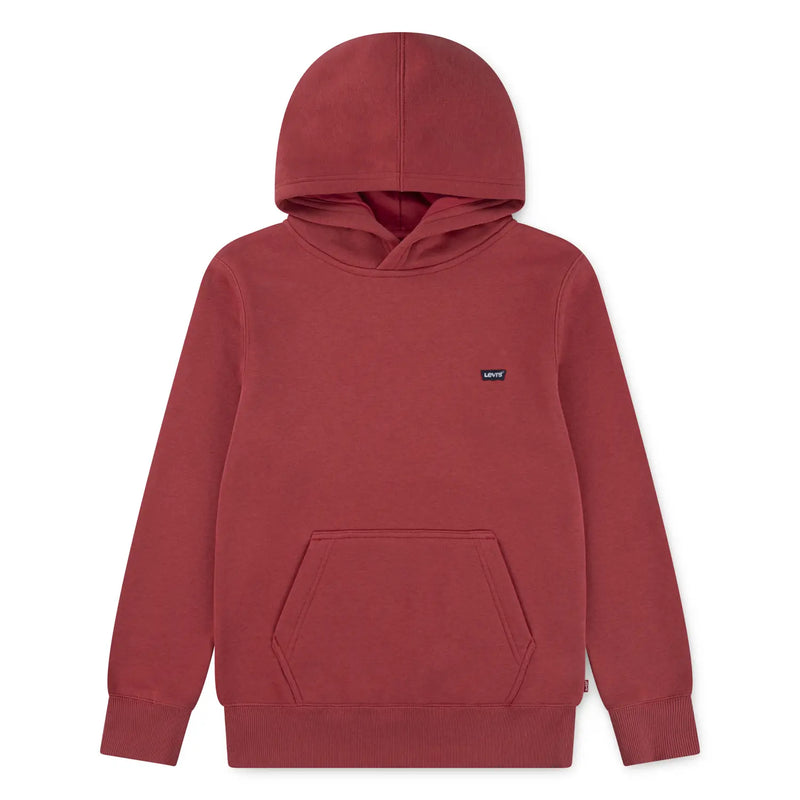 Levi's boy's mini logo hoodie - el452.