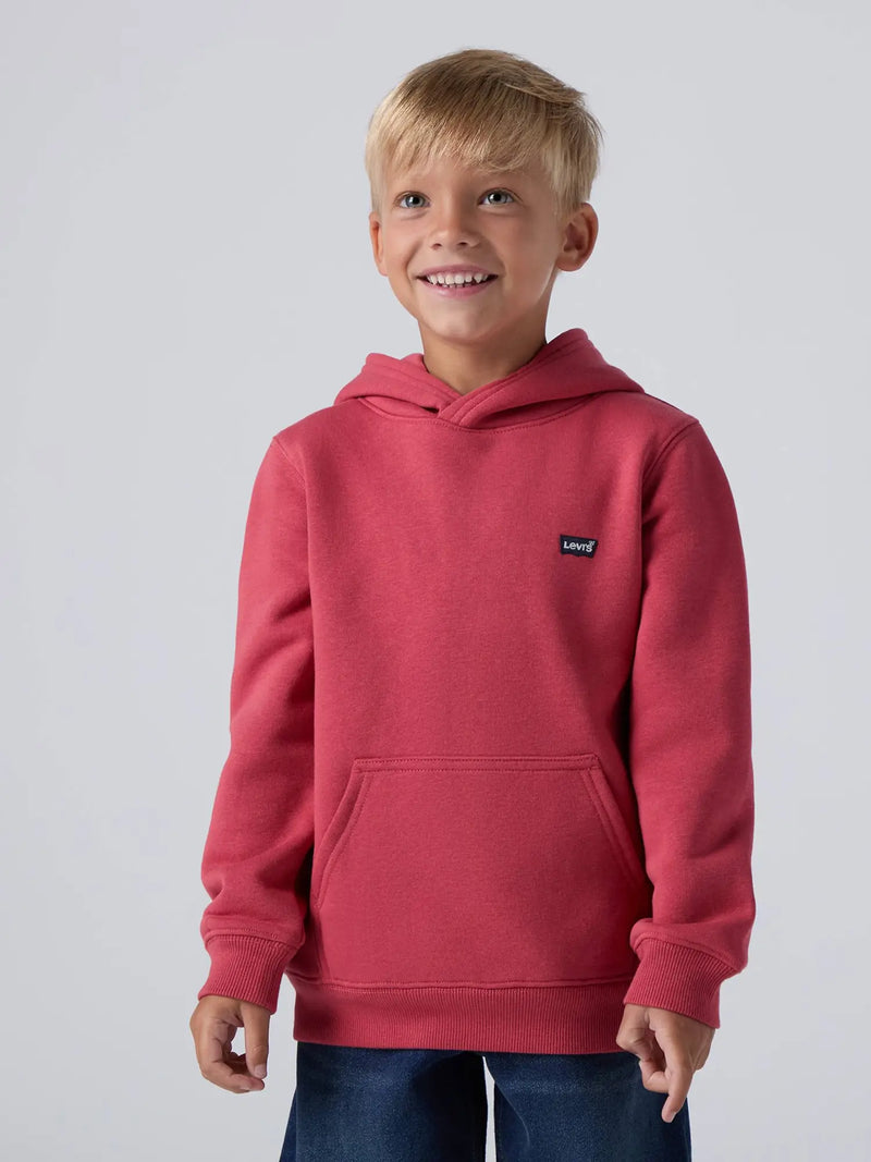 Boy modelling the Levi's mini logo hoodie.