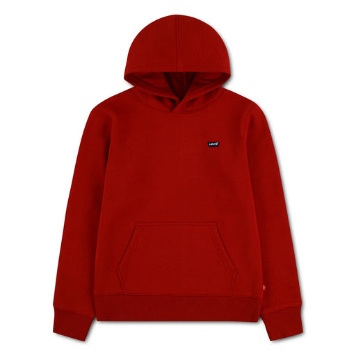 Levi's boy's mini logo hoodie - el452.