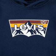 Closer look at the Levi's mountain logo hoodie.