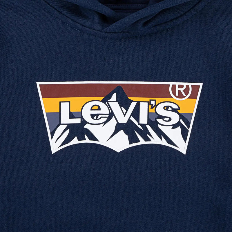 Closer look at the Levi's mountain logo hoodie.
