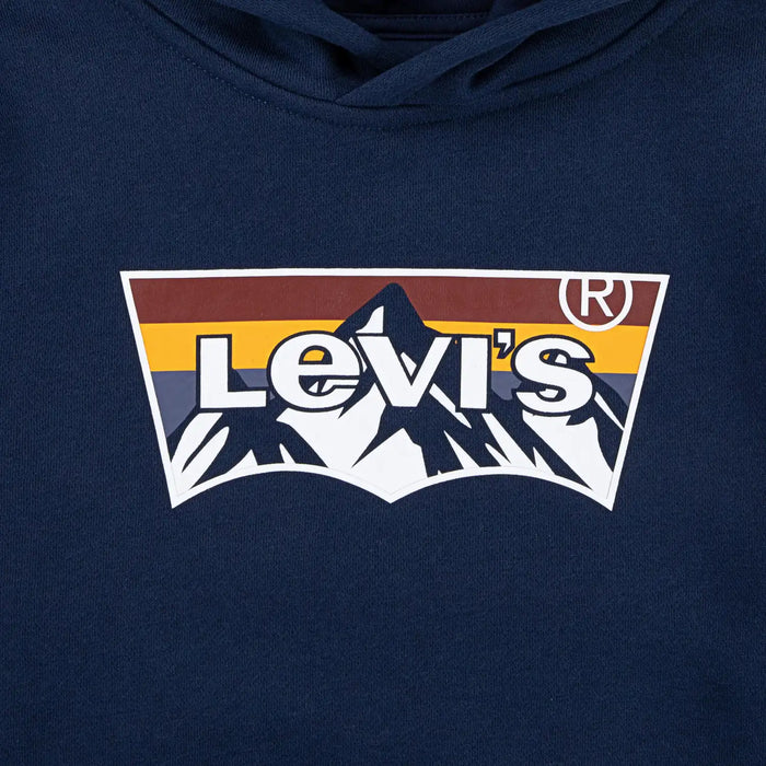 Closer look at the Levi's mountain logo hoodie.