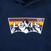 Closer look at the Levi's mountain logo hoodie.