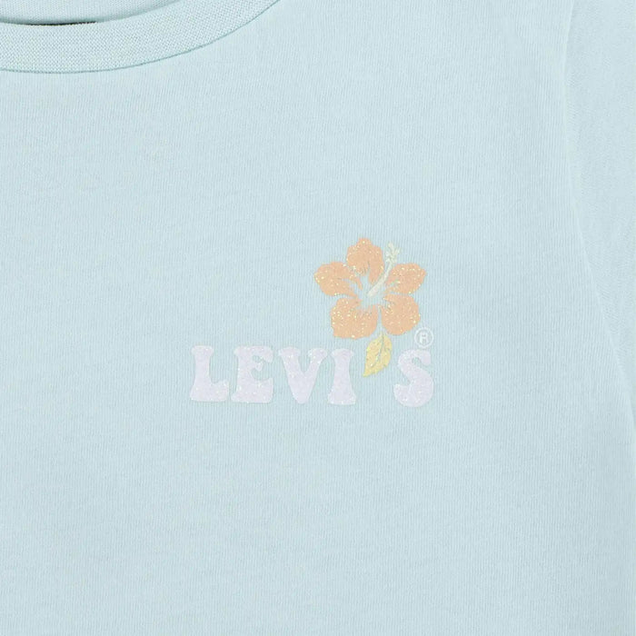 Closer look at the Levi's ocean beach t-shirt.