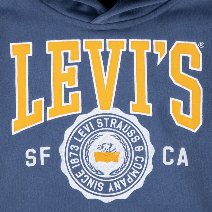 Closer look at the Levi's varsity hoodie.