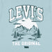 Closer look at the Levi's logo t-shirt.