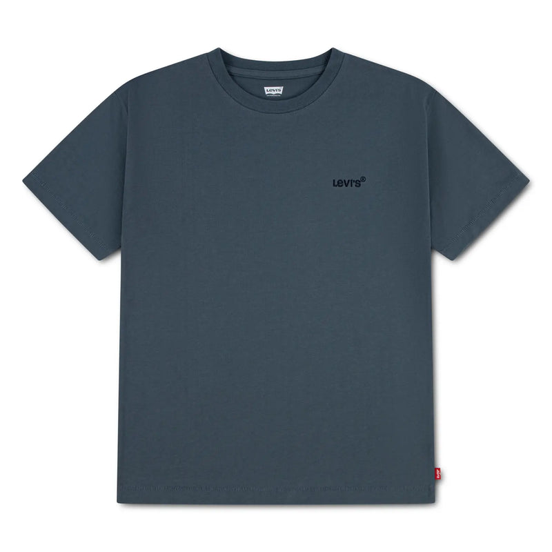 Levi's boy's t-shirt - ep595.