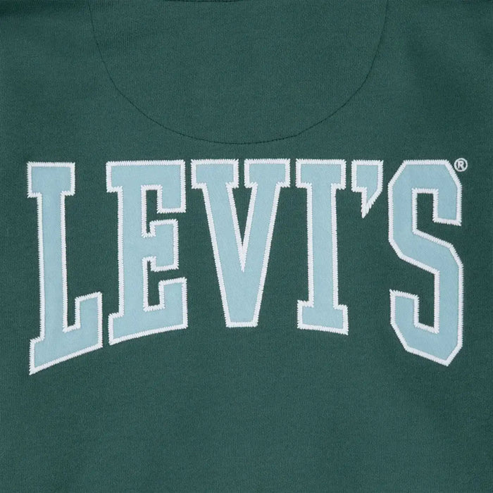 Closer view of the Levi's zip up hoodie.