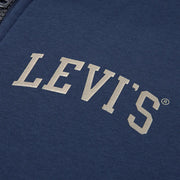 Closer look at the Levi's zip up hoodie.