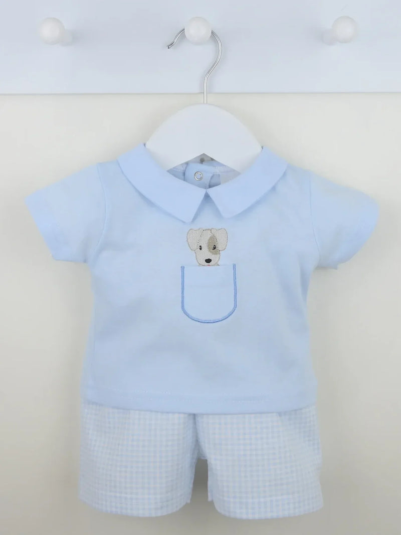 Pex blue puppy shorts set - b0636.