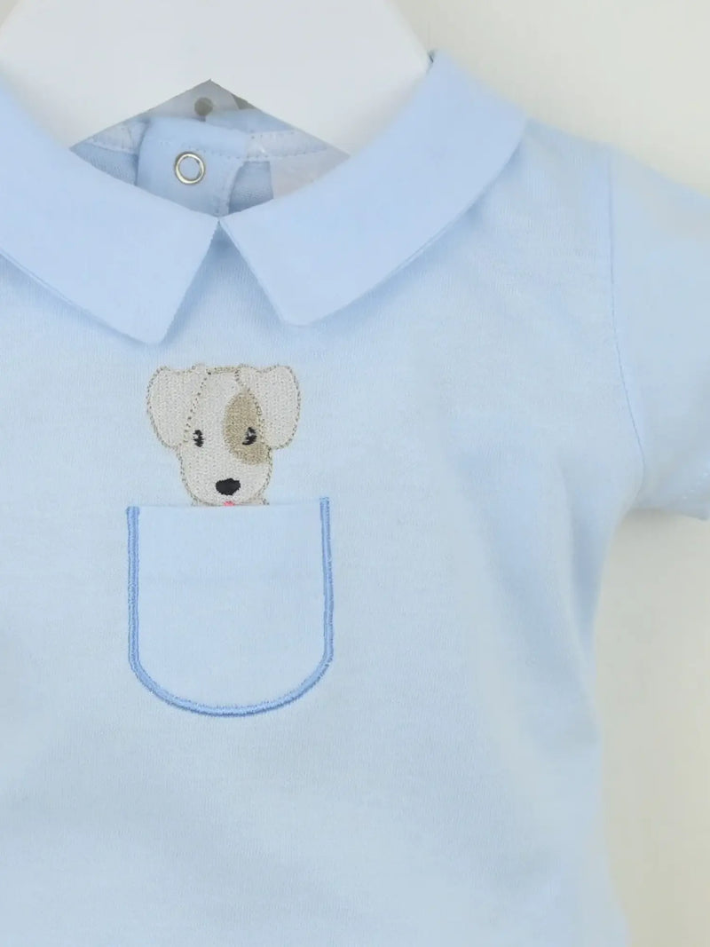 Closer view of the Pex puppy shorts set.