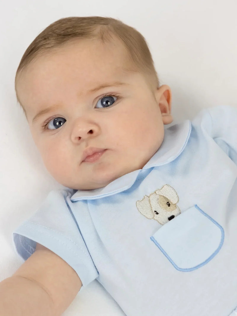 Baby boy in blue puppy shorts set by Pex.