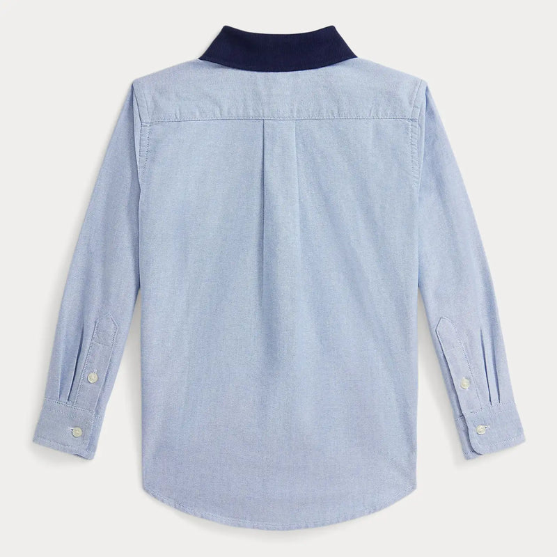 Back of the Ralph Lauren blue polo bear oxford shirt.