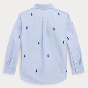 Back of the Ralph Lauren blue pony shirt.