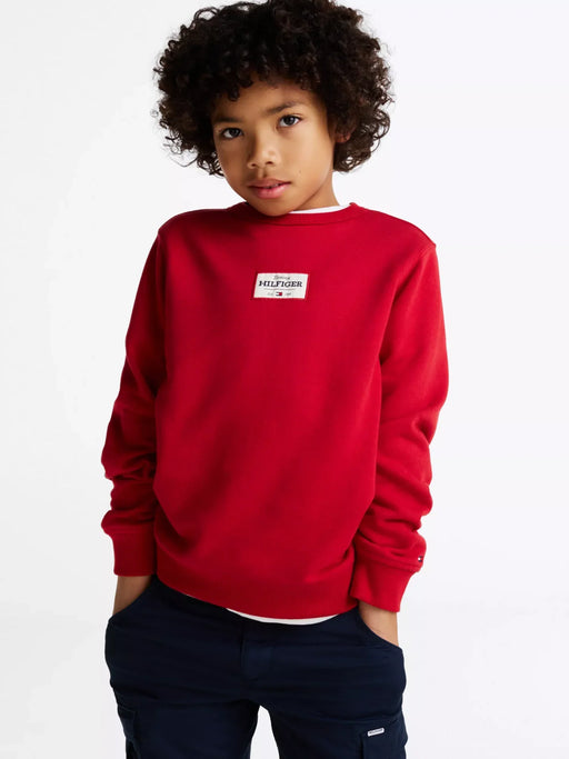 Closer view of the Tommy Hilfiger 1985 sweatshirt.