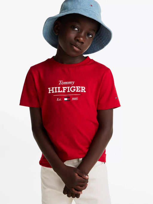 Closer look at the Tommy Hilfiger 1985 t-shirt.