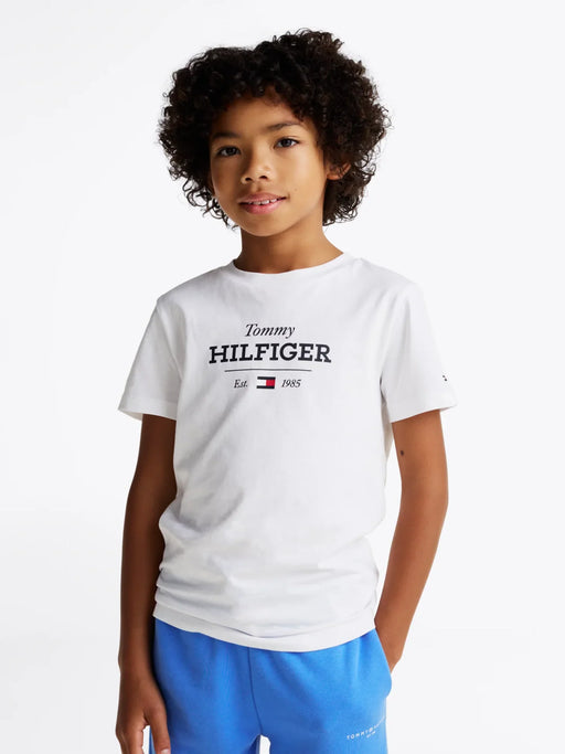 Closer look at the Tommy Hilfiger 1985 t-shirt.