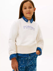 Tommy Hilfiger arched logo sweatshirt with purple embroidered logo.