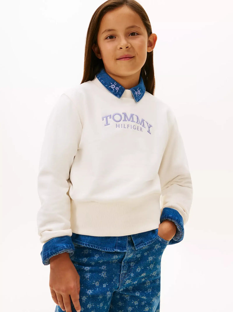 Tommy Hilfiger arched logo sweatshirt with purple embroidered logo.