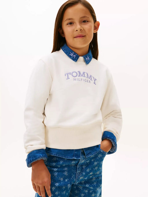 Tommy Hilfiger arched logo sweatshirt with purple embroidered logo.